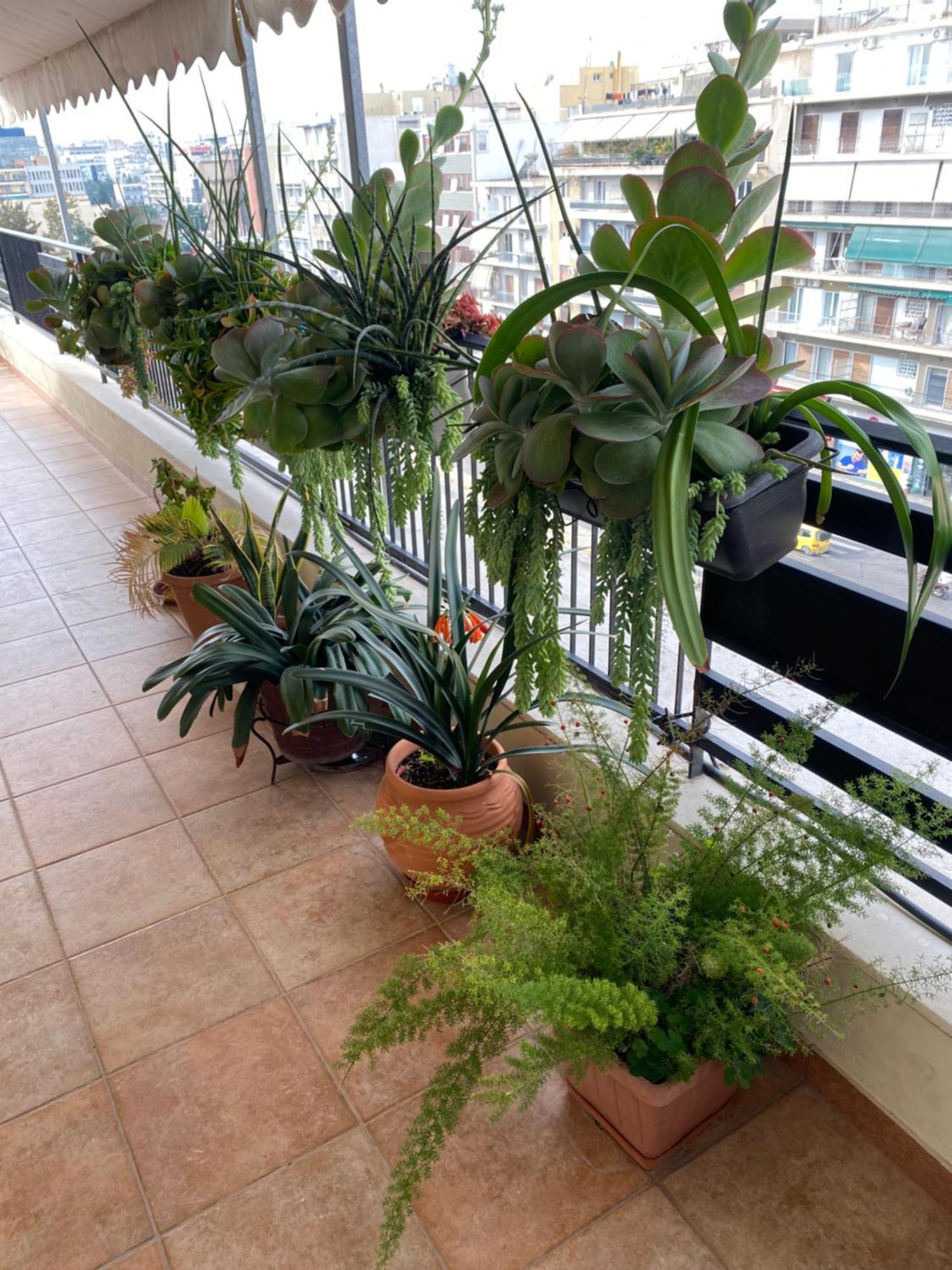 Athens Centre Acropolis "Sunny" Apartment #718 외부 사진
